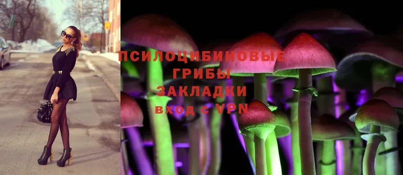 Псилоцибиновые грибы Magic Shrooms  как найти закладки  Алушта 